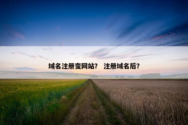 域名注册变网站？ 注册域名后？