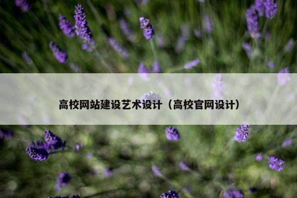 高校网站建设艺术设计（高校官网设计）