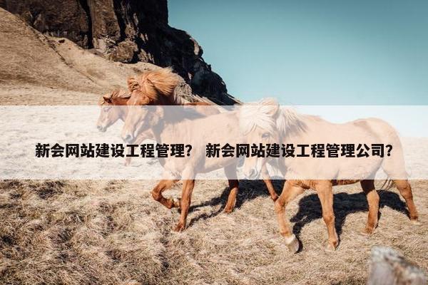 新会网站建设工程管理？ 新会网站建设工程管理公司？