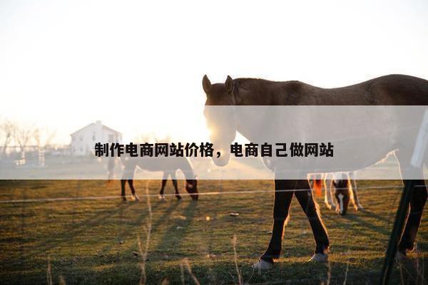 制作电商网站价格，电商自己做网站