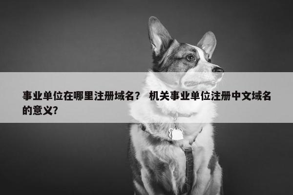 事业单位在哪里注册域名？ 机关事业单位注册中文域名的意义？