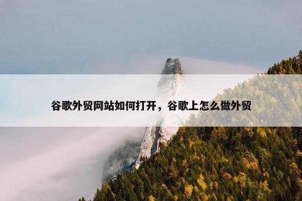 谷歌外贸网站如何打开，谷歌上怎么做外贸