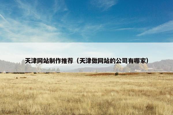 天津网站制作推荐（天津做网站的公司有哪家）