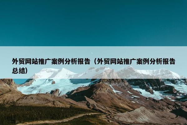 外贸网站推广案例分析报告（外贸网站推广案例分析报告总结）