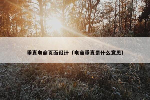 垂直电商页面设计（电商垂直是什么意思）