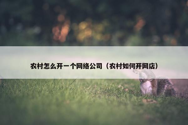 农村怎么开一个网络公司（农村如何开网店）