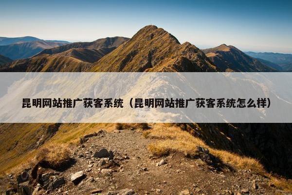 昆明网站推广获客系统（昆明网站推广获客系统怎么样）