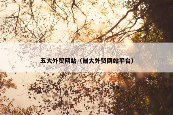 五大外贸网站（最大外贸网站平台）