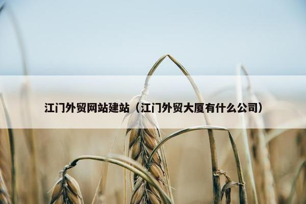 江门外贸网站建站（江门外贸大厦有什么公司）