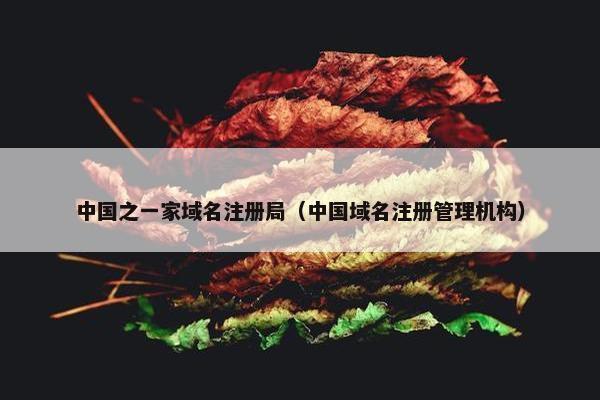 中国之一家域名注册局（中国域名注册管理机构）