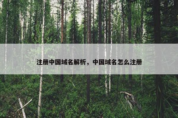 注册中国域名解析，中国域名怎么注册