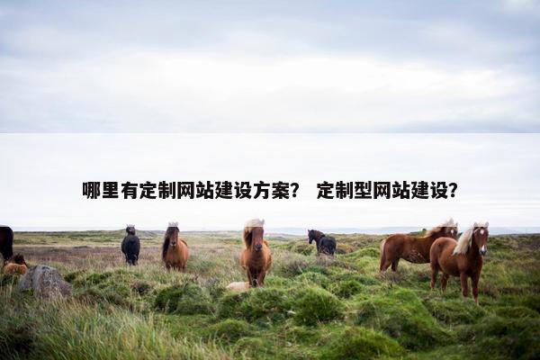 哪里有定制网站建设方案？ 定制型网站建设？