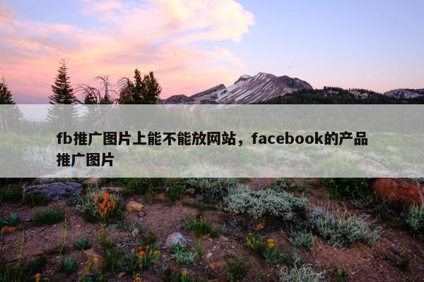 fb推广图片上能不能放网站，facebook的产品推广图片