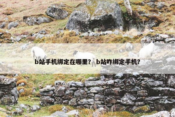 b站手机绑定在哪里？ b站咋绑定手机？