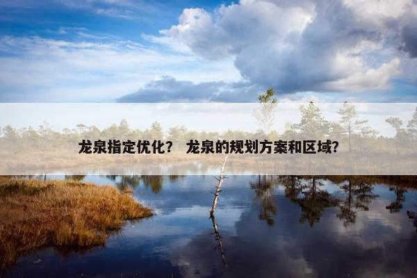 龙泉指定优化？ 龙泉的规划方案和区域？