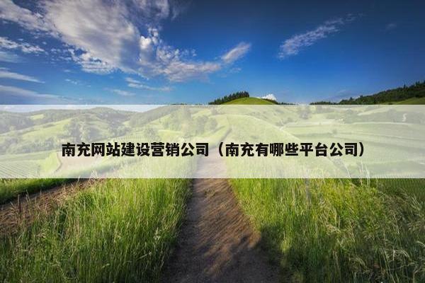 南充网站建设营销公司（南充有哪些平台公司）