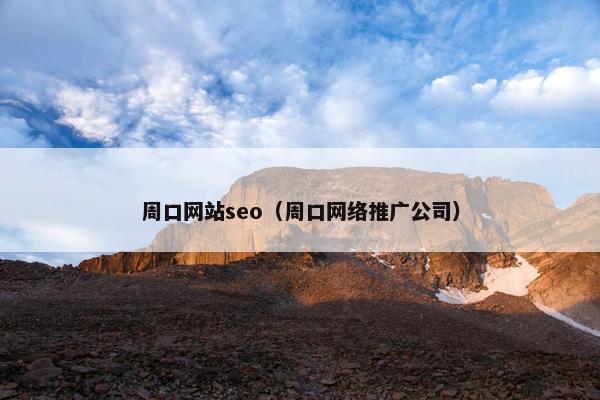 周口网站seo（周口网络推广公司）