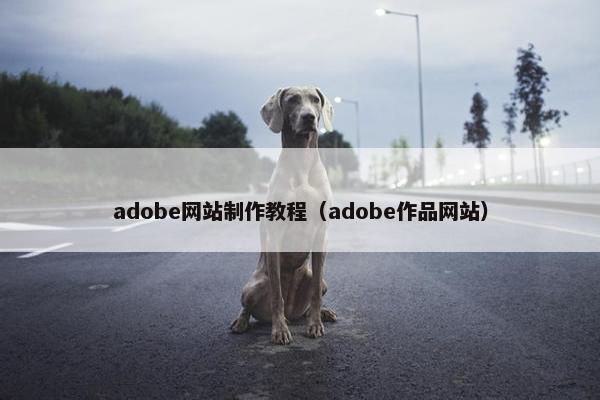 adobe网站制作教程（adobe作品网站）