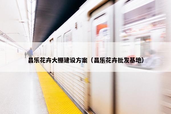 昌乐花卉大棚建设方案（昌乐花卉批发基地）