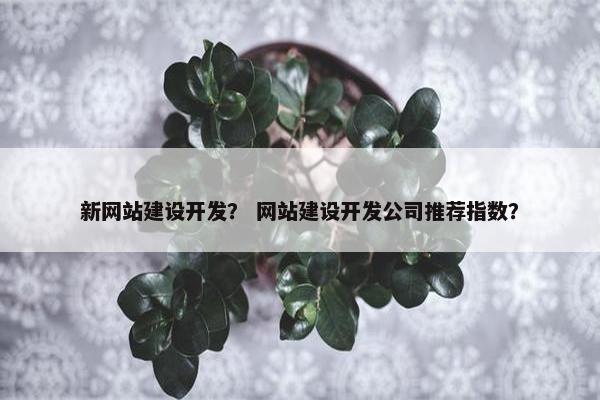 新网站建设开发？ 网站建设开发公司推荐指数？