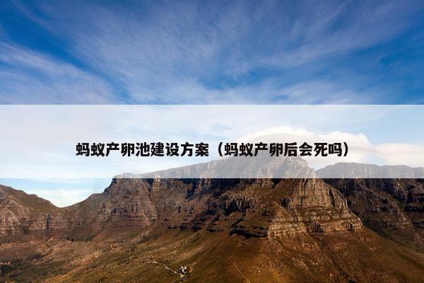 蚂蚁产卵池建设方案（蚂蚁产卵后会死吗）