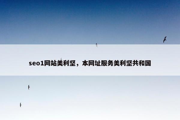 seo1网站美利坚，本网址服务美利坚共和国