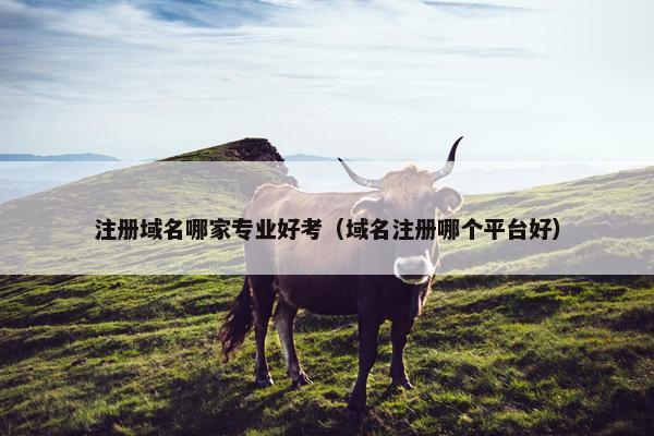 注册域名哪家专业好考（域名注册哪个平台好）