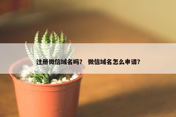 注册微信域名吗？ 微信域名怎么申请？