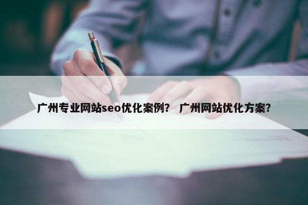 广州专业网站seo优化案例？ 广州网站优化方案？