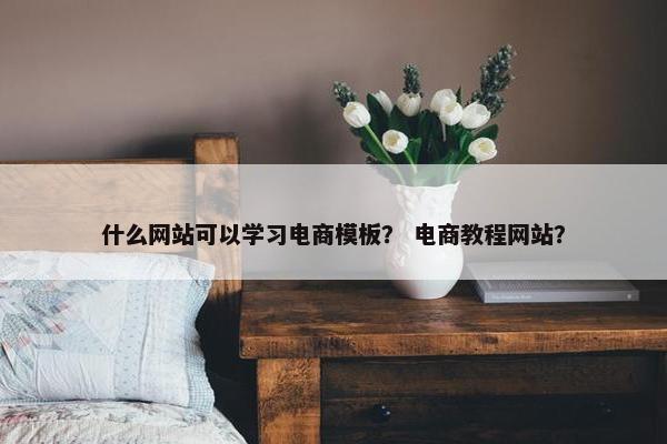 什么网站可以学习电商模板？ 电商教程网站？