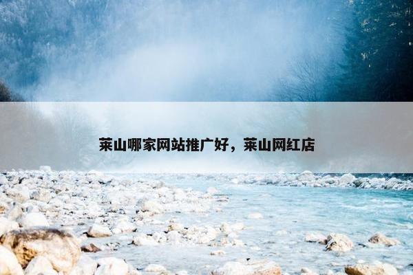 莱山哪家网站推广好，莱山网红店