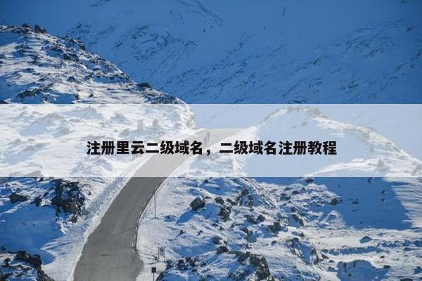 注册里云二级域名，二级域名注册教程