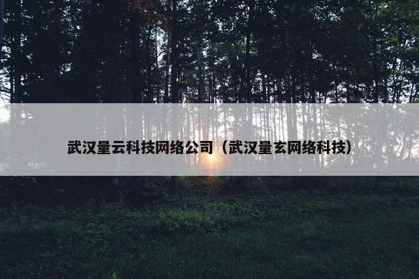 武汉量云科技网络公司（武汉量玄网络科技）