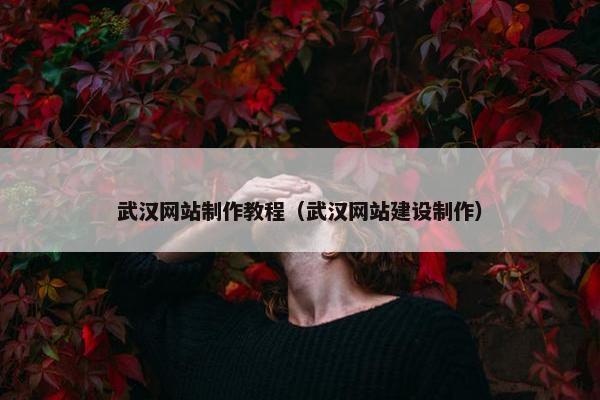 武汉网站制作教程（武汉网站建设制作）