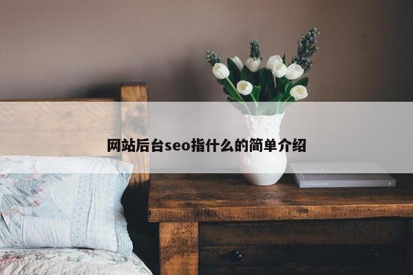 网站后台seo指什么的简单介绍