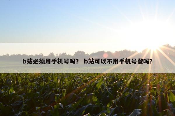 b站必须用手机号吗？ b站可以不用手机号登吗？