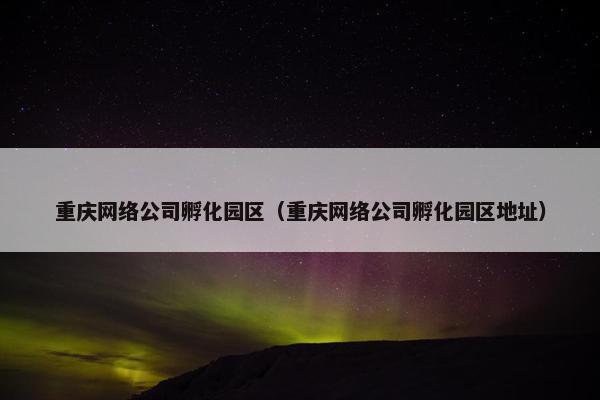 重庆网络公司孵化园区（重庆网络公司孵化园区地址）