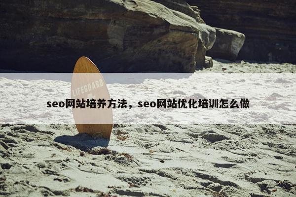 seo网站培养方法，seo网站优化培训怎么做