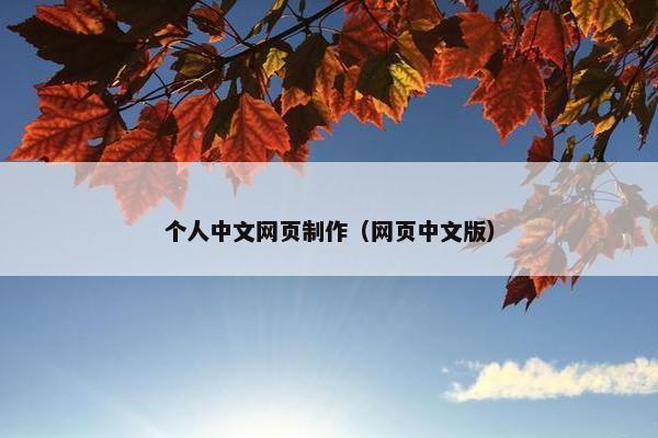 个人中文网页制作（网页中文版）
