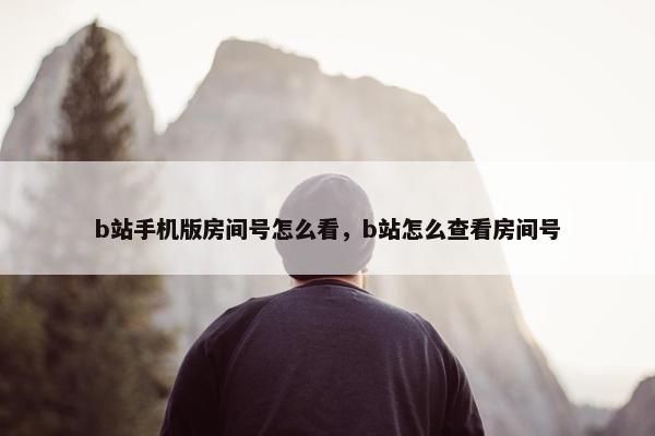 b站手机版房间号怎么看，b站怎么查看房间号
