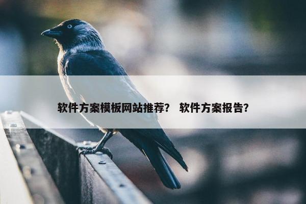 软件方案模板网站推荐？ 软件方案报告？