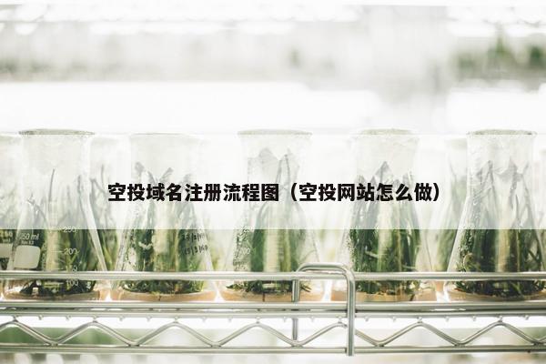 空投域名注册流程图（空投网站怎么做）