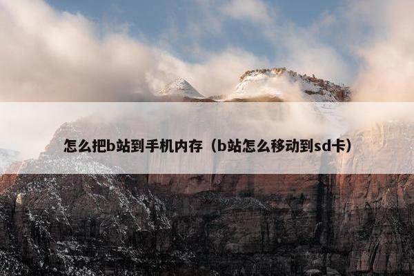 怎么把b站到手机内存（b站怎么移动到sd卡）