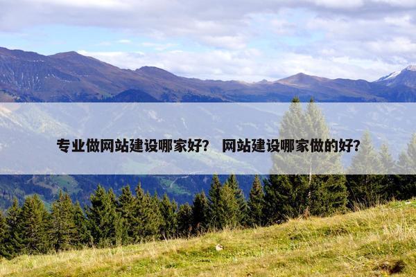 专业做网站建设哪家好？ 网站建设哪家做的好？