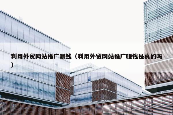 利用外贸网站推广赚钱（利用外贸网站推广赚钱是真的吗）