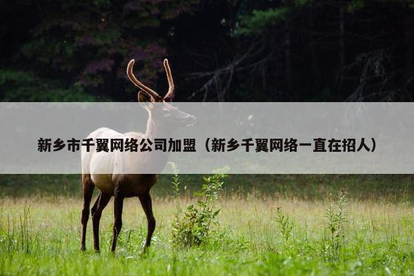 新乡市千翼网络公司加盟（新乡千翼网络一直在招人）