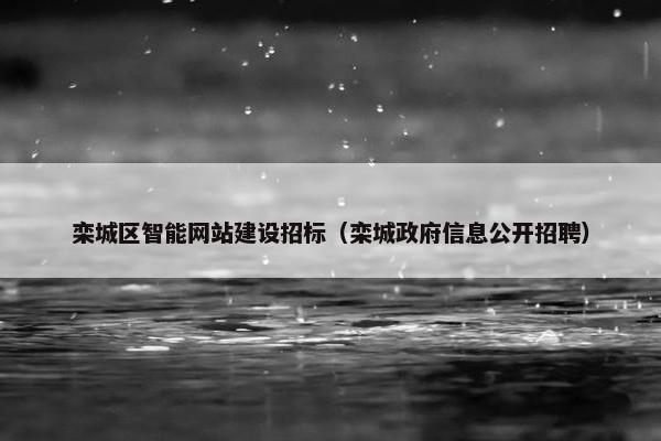栾城区智能网站建设招标（栾城政府信息公开招聘）