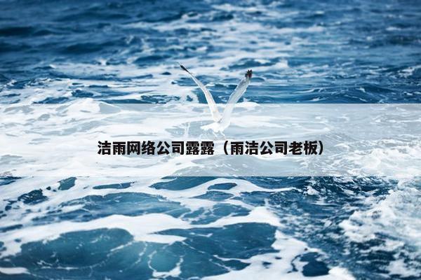 洁雨网络公司露露（雨洁公司老板）