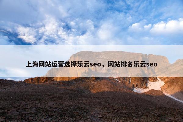 上海网站运营选择乐云seo，网站排名乐云seo