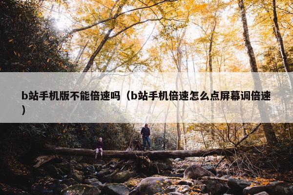 b站手机版不能倍速吗（b站手机倍速怎么点屏幕调倍速）